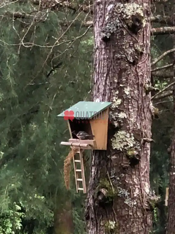 Vista exterior de Casa o xalet en venda en Ames amb Jardí privat