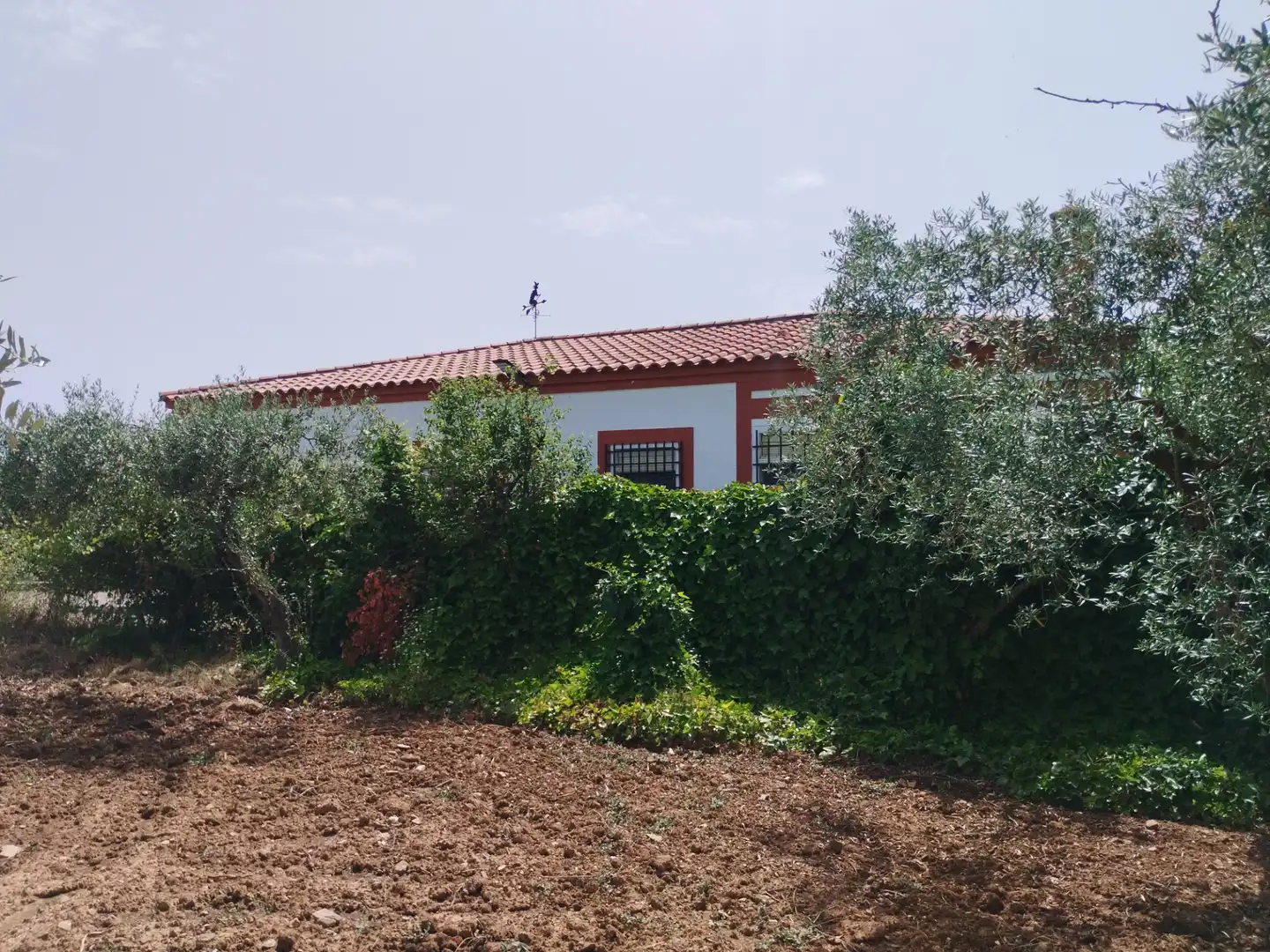 Casa rústica amb piscina en venda a Puebla de Sancho Pérez, imagen 12