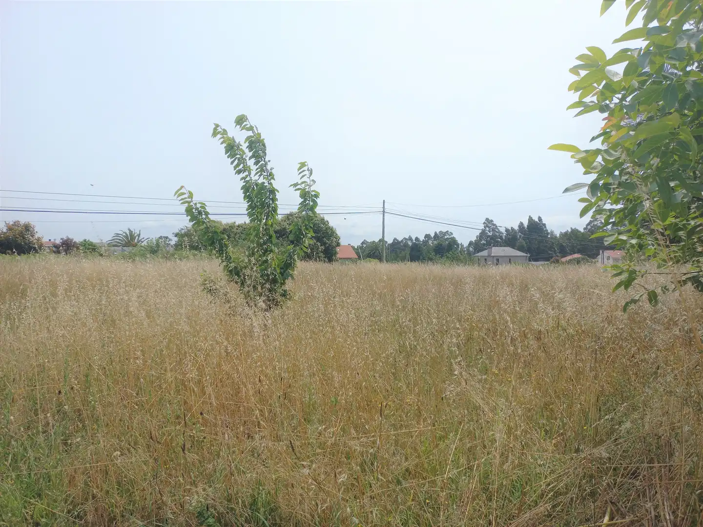 Residential for sale in Miño