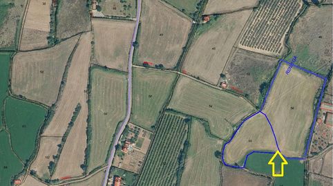 FINCA RÚSTICA - LOGROÑO (CASCAJOS), imagen 3