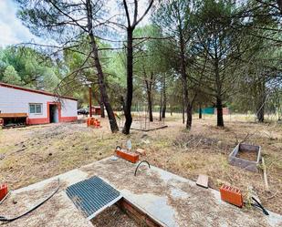 Garten von Grundstücke zum verkauf in Traspinedo