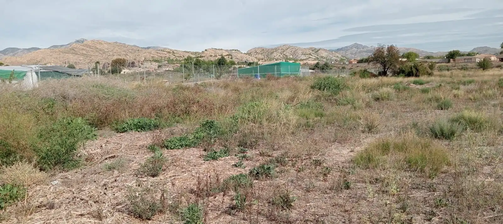 Rustikales Grundstück zum Verkauf in Partidas de Alicante, imagen 3