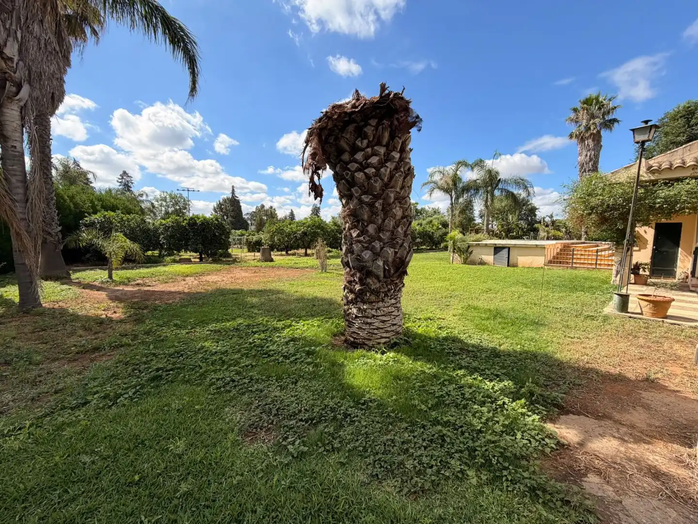 Villa à vendre à Sanlúcar la Mayor, imagen 17