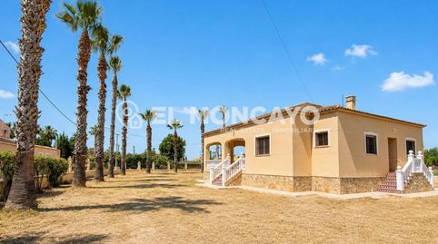 Fantástica parcela rústica con dos viviendas independientes y piscina privada en Catral, Alicante, Costa Blanca, imagen 4