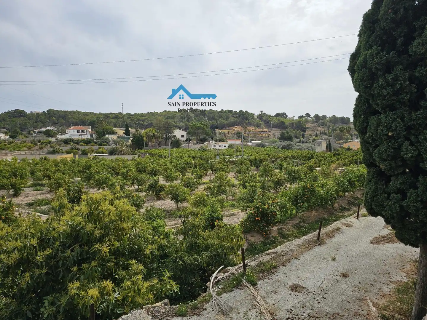 Rural land for sale in Altea ciudad, imagen 6