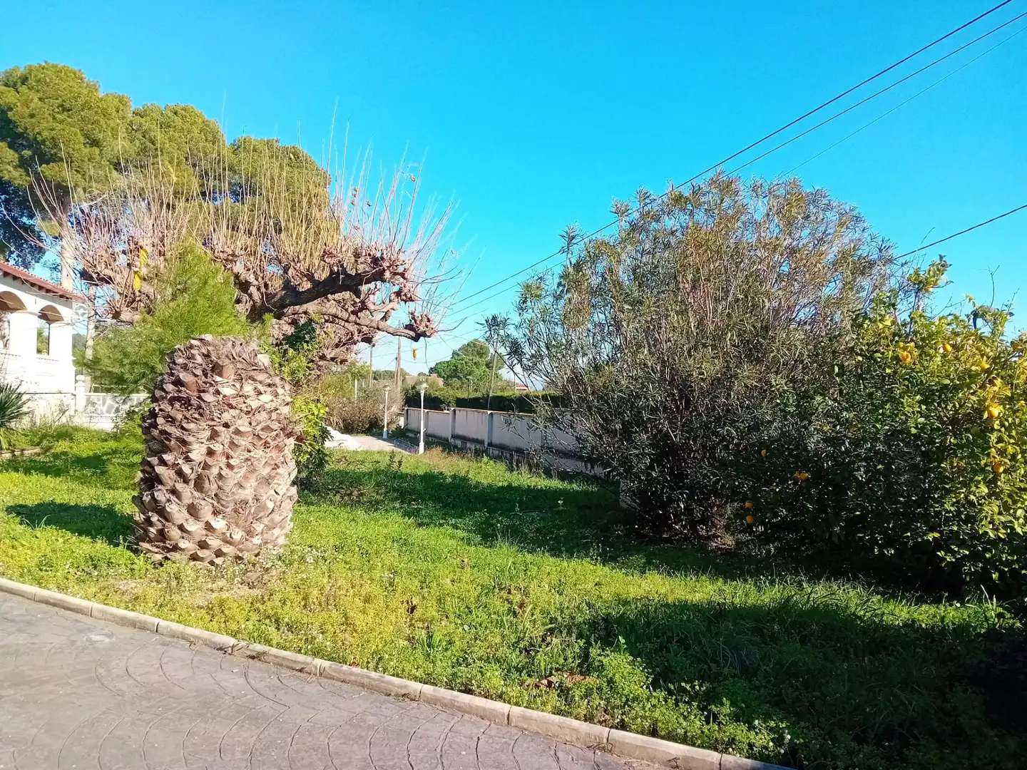Villa con piscina in vendita a Carrer de les Acacies, imagen 40