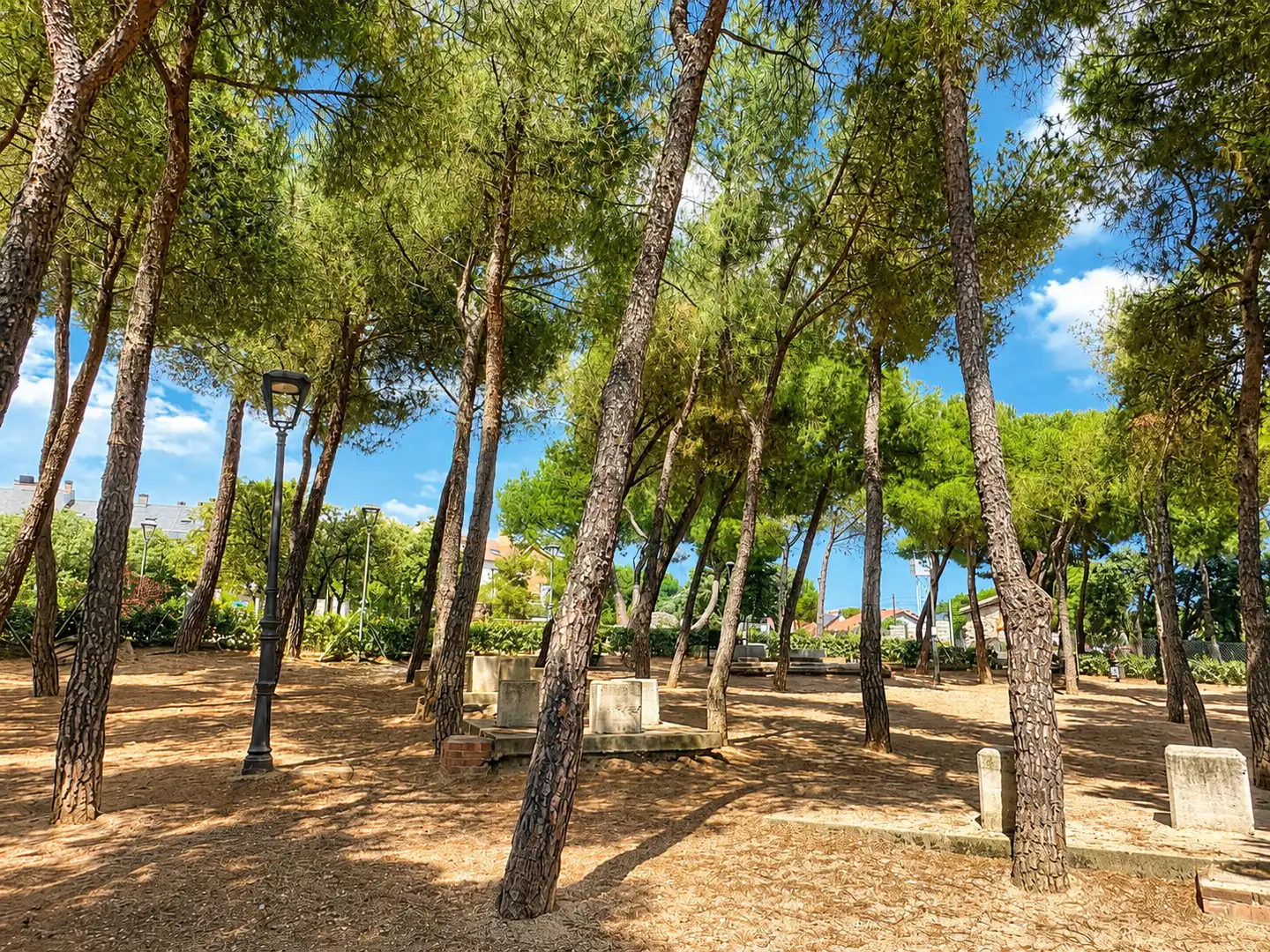 Vista exterior de Dúplex en venta en Torrelodones con Piscina comunitaria