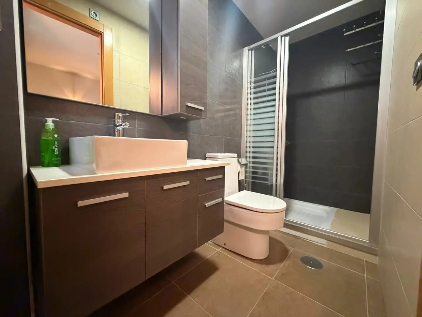 Bany de Apartament en venda en Almoradí amb Aire condicionat i Balcó