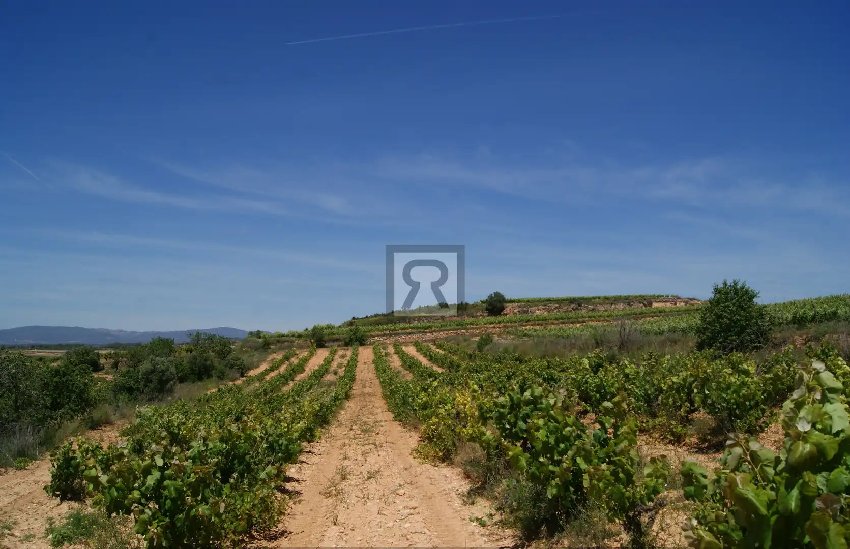 Terrain rustique à vendre à N/A, imagen 11