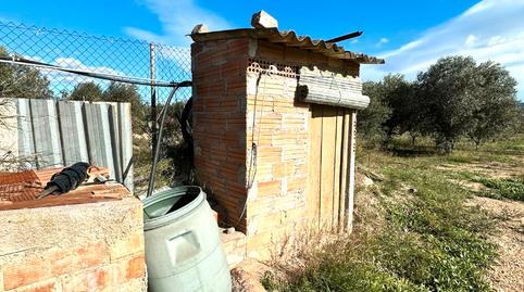 Foto 5 de Finca rústica en venda a Camí de Sant Jeroni, 5, Móra d'Ebre, Tarragona