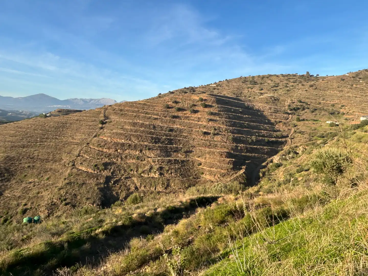 Terrain rustique à vendre à Barrio Trapiche-la Palma Sg.T, imagen 2