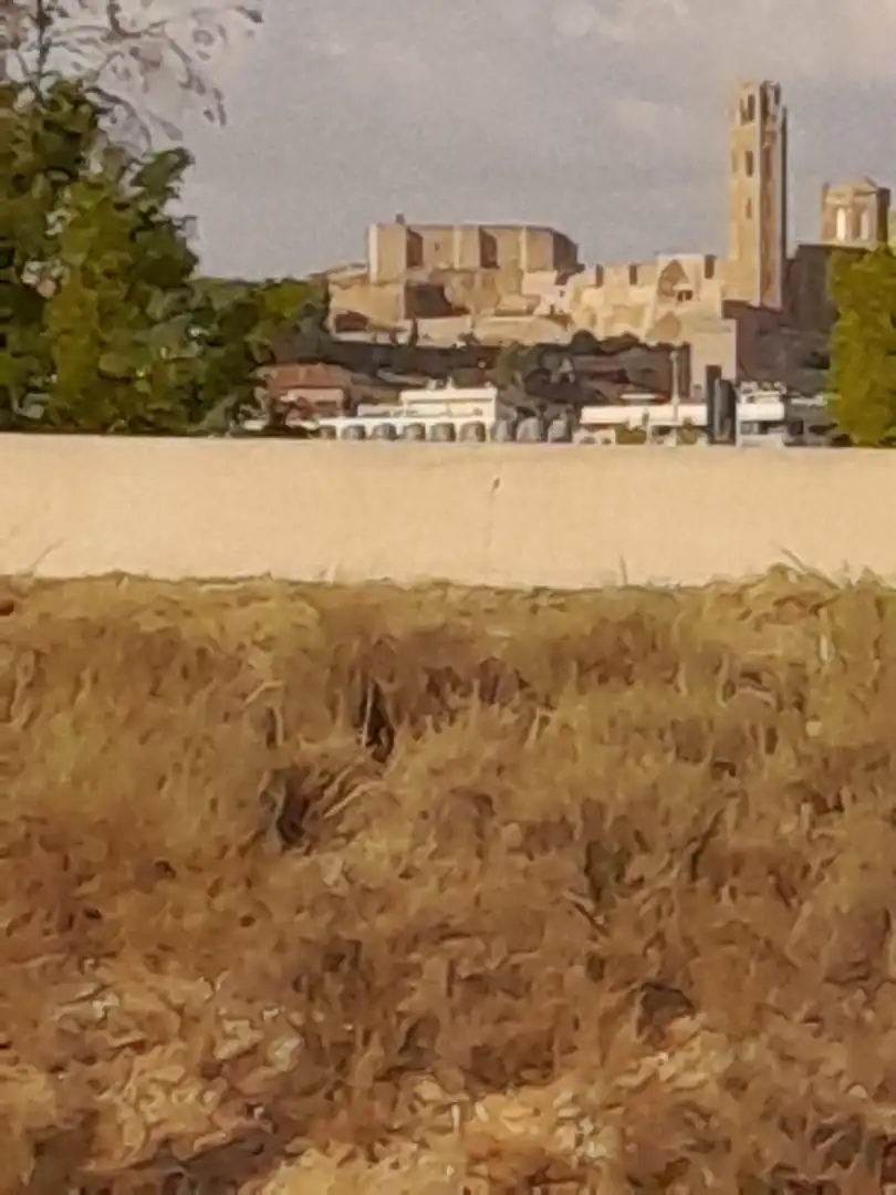 Terreno rustico in vendita a Partides de Lleida, imagen 14