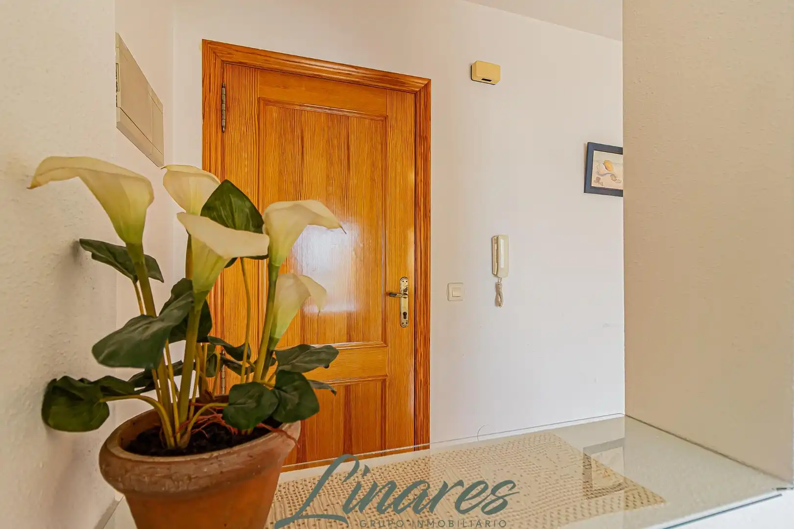 Penthouse for sale in Calle IPANEMA - LA MANGA, imagen 21