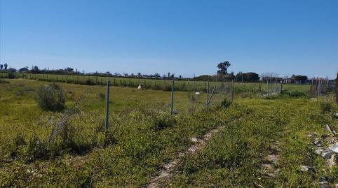 Foto 4 de Residencial en venda a 2 Ar - S2 Meca Alta  Jaral, Las Tres Piedras - Costa Ballena, Chipiona