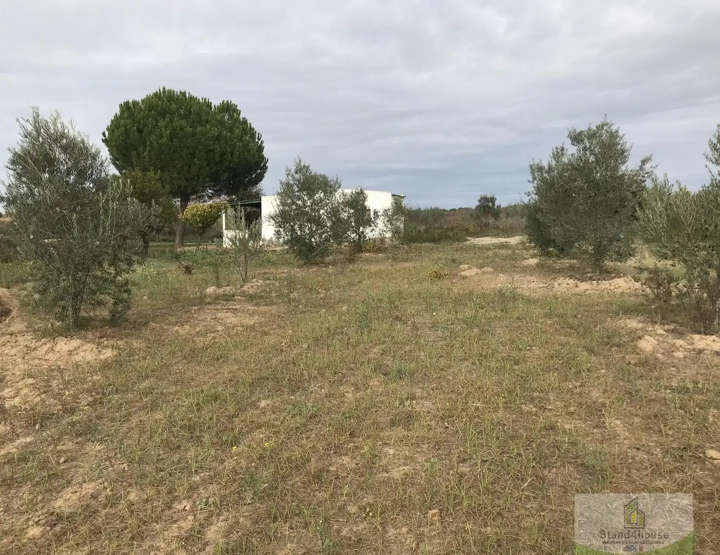 Finca rústica en venta en Bollullos Par del Condado con Alarma