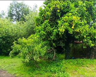 Jardí de Casa o xalet en venda en Lezama amb Terrassa i Balcó