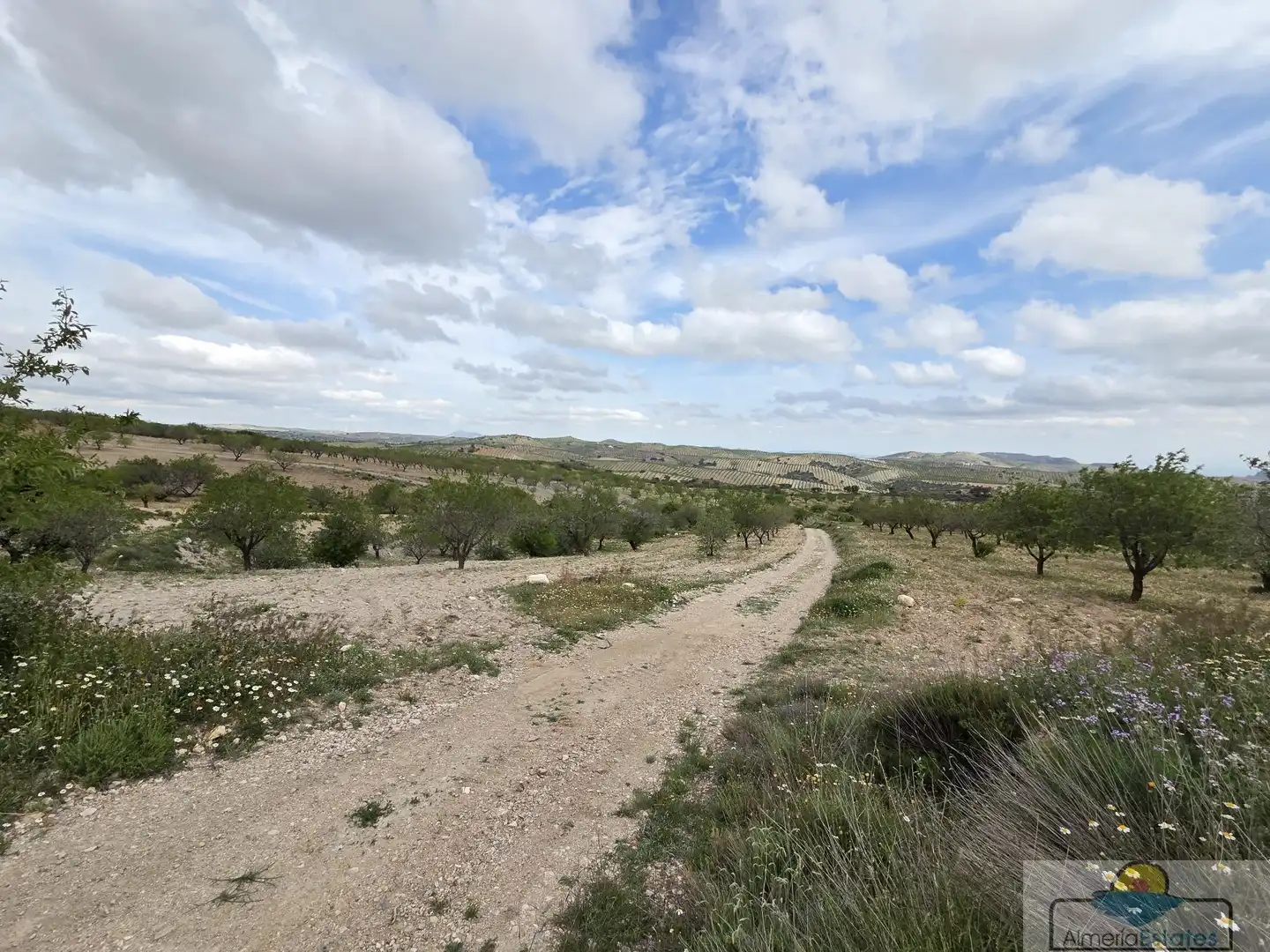 Terrenys i solars en venda a Albox, imagen 6