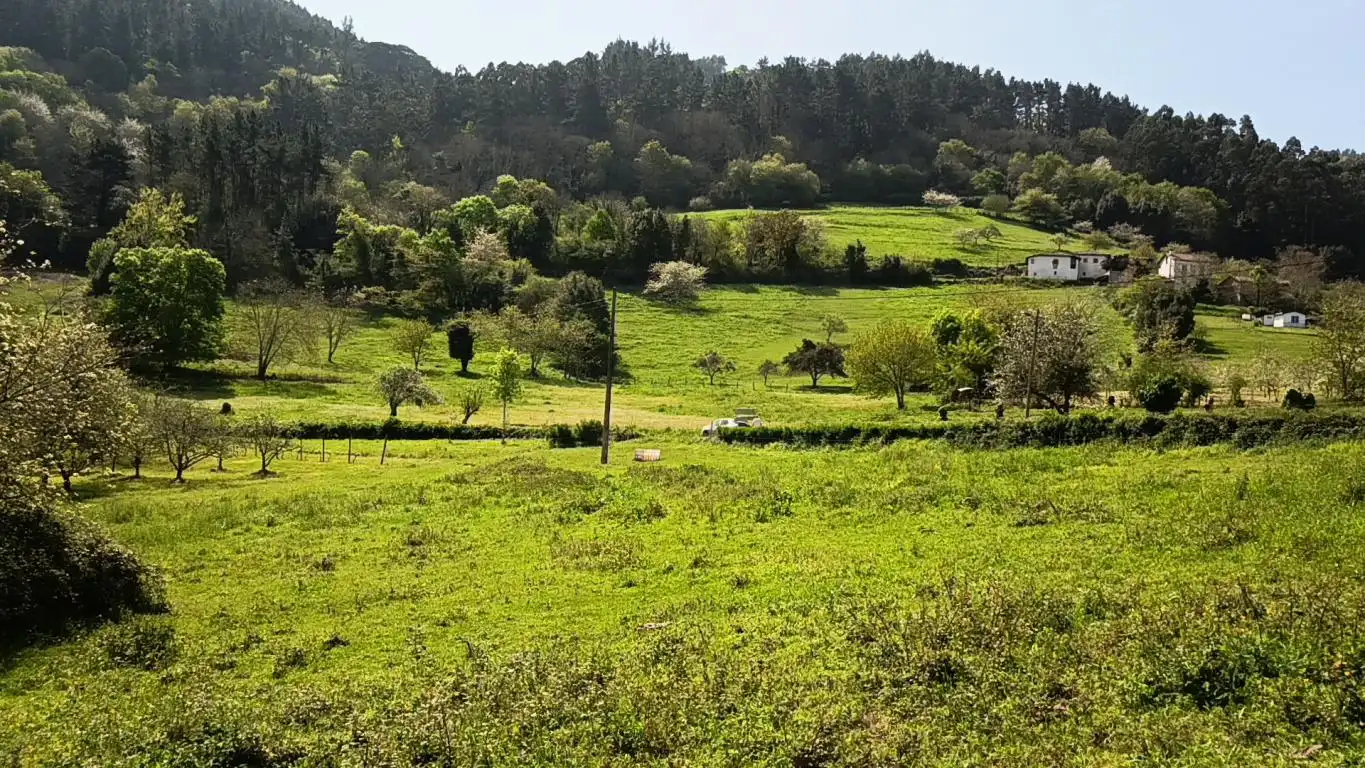 Terreno residencial en venta en AS-39, imagen 5