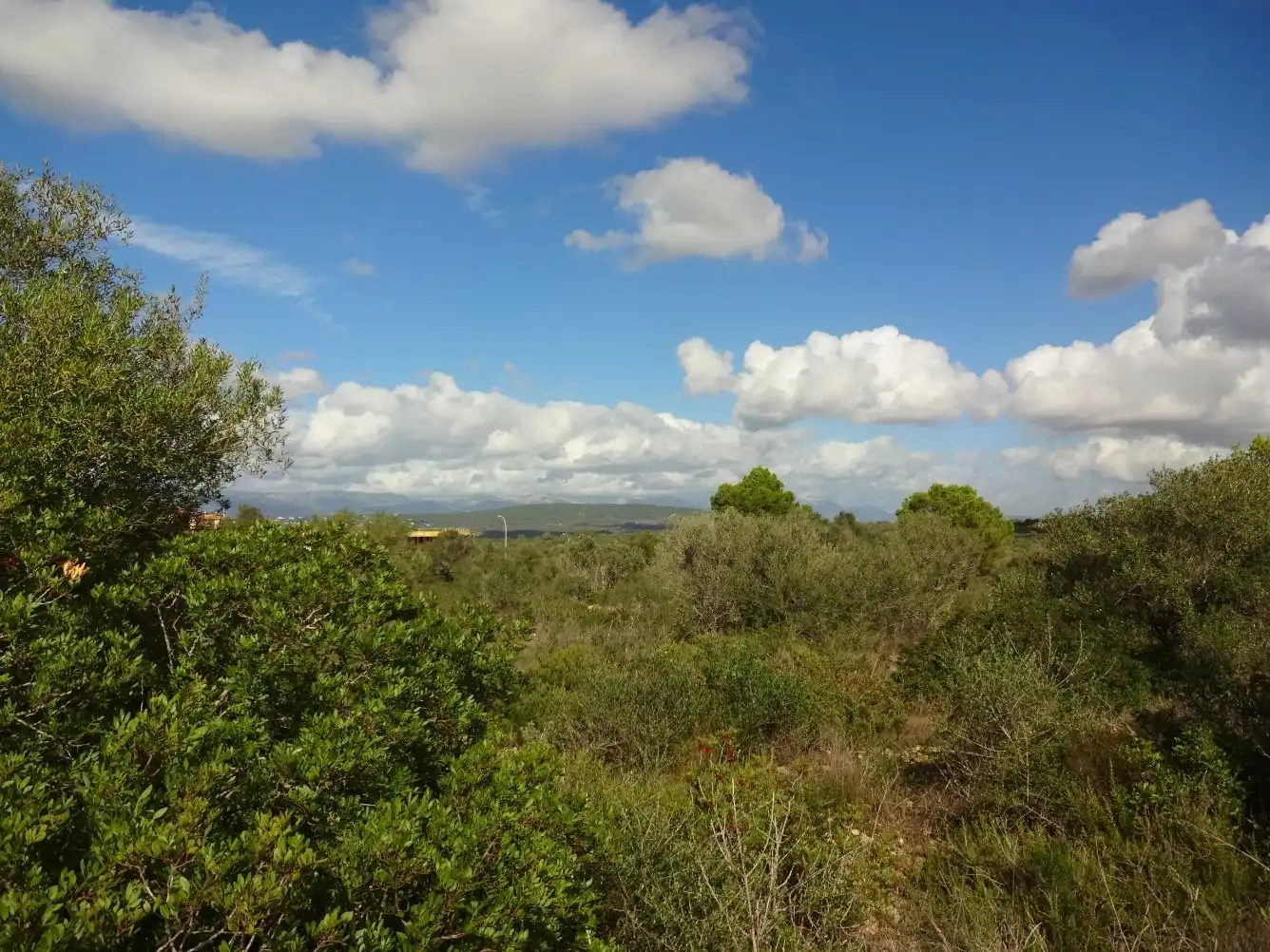 Terreny residencial en venda a Llevant