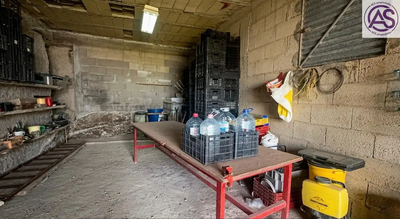 Finca rústica en venta en Fasnia