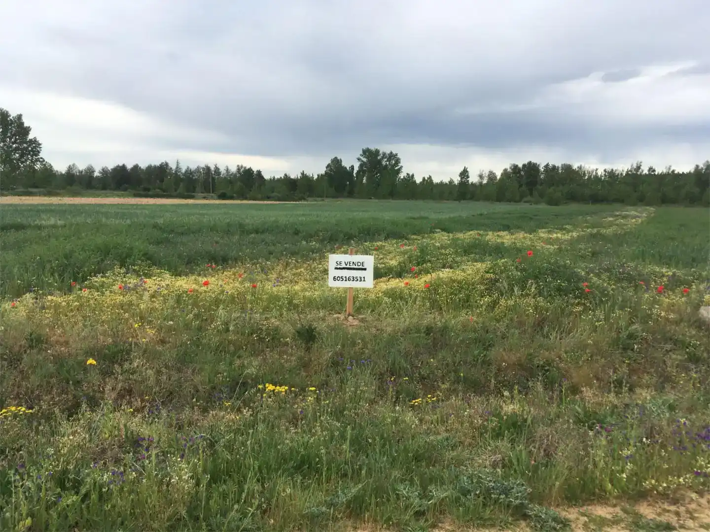 Land for sale in Brime de Sog, Zamora