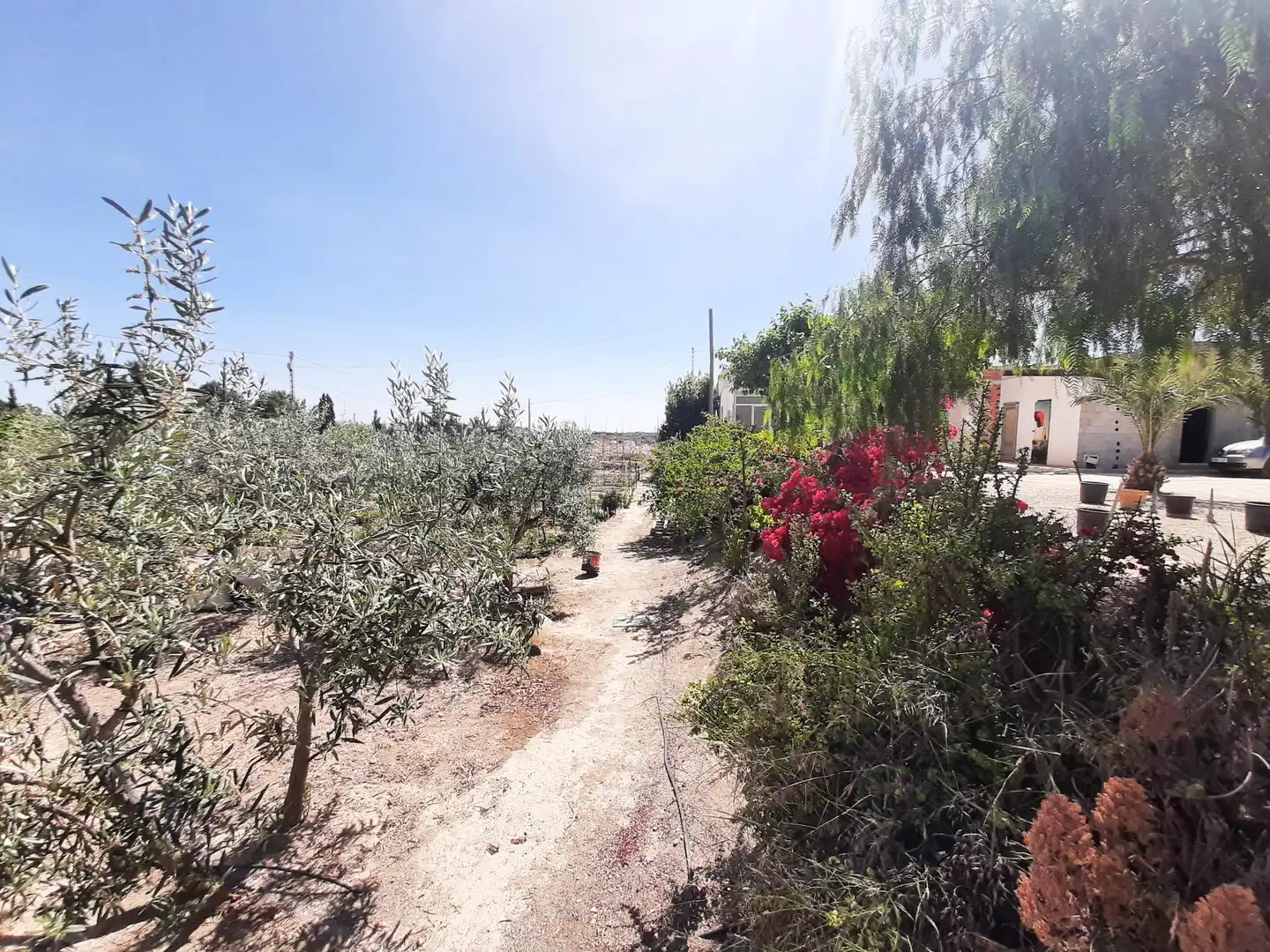 Casa rustica con giardino in vendita a Jubalcoi, imagen 36
