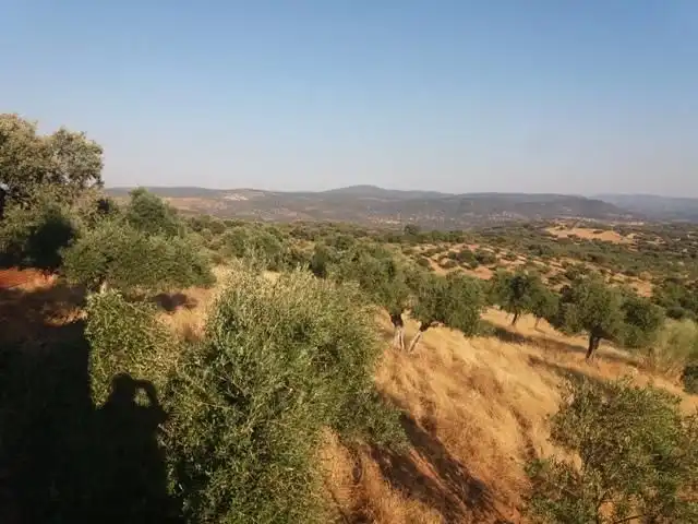 Residential land for sale in Fuente Obejuna, imagen 35