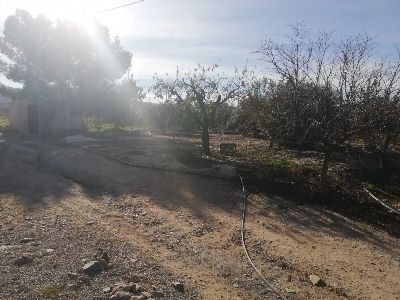 Houses for sale in Lorca  with Private garden
