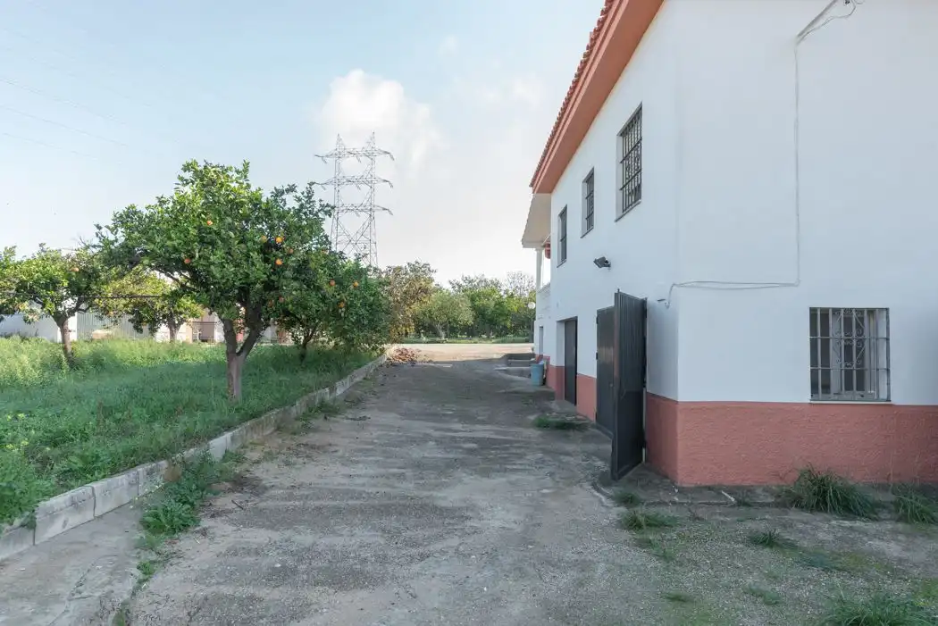 Vista exterior de Casa o chalet en venta en Alcalá de Guadaira con Piscina