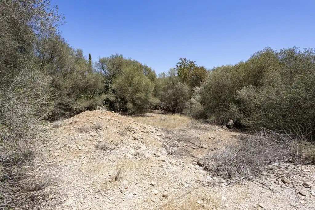 Terreno rustico in vendita a Sa Cabaneta, imagen 3