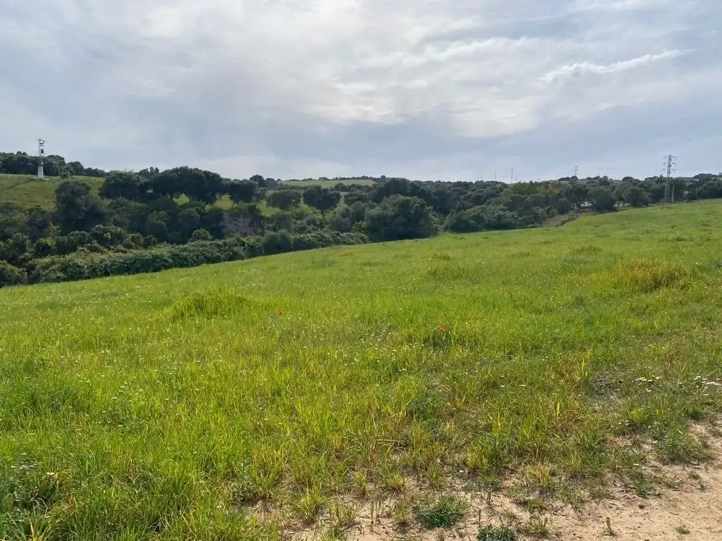 Terrain rustique à vendre à Vejer, imagen 8