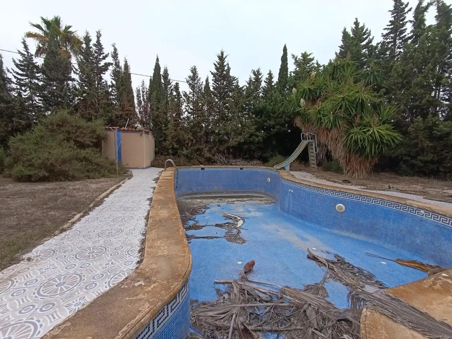 Piscina de Casa o xalet en venda en Elche / Elx amb Jardí privat, Terrassa i Traster