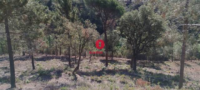 Terreno residencial en Venta en Calle Castor, 49 en Riudarenes