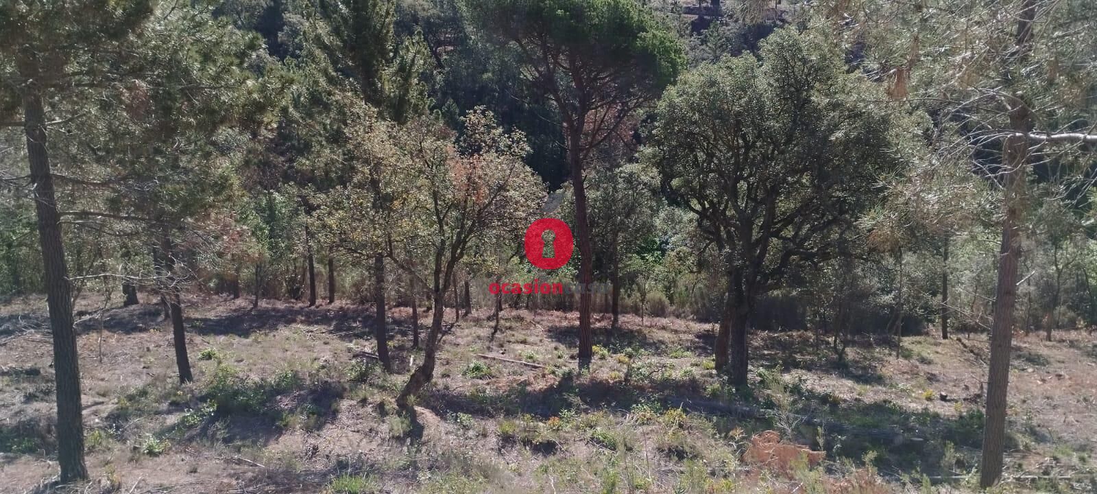 Residencial en venda en Riudarenes