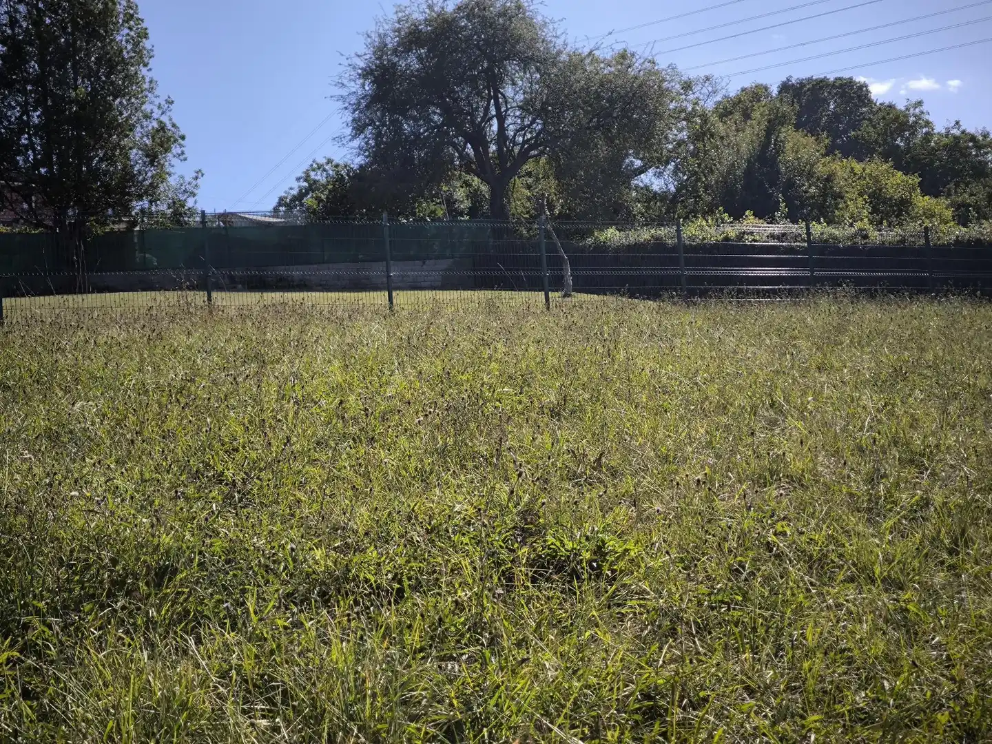 Terrenys i solars en venda a Rural, imagen 3