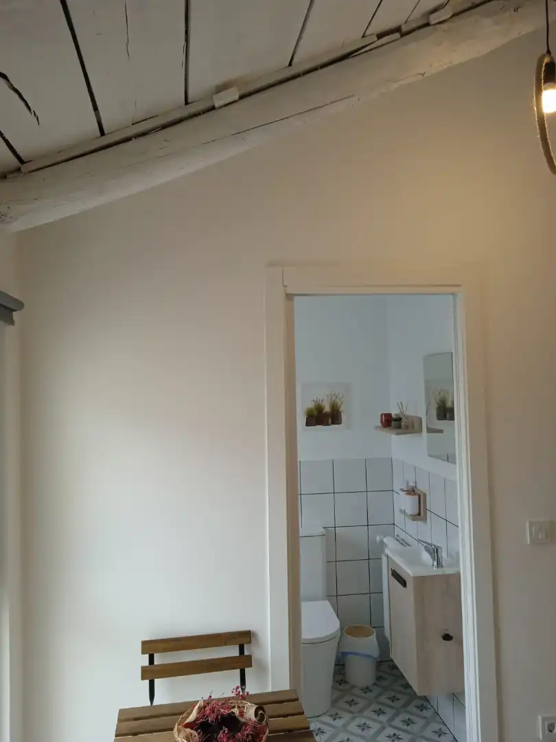 Bathroom of Apartments for rent in Lugo  with Furnished