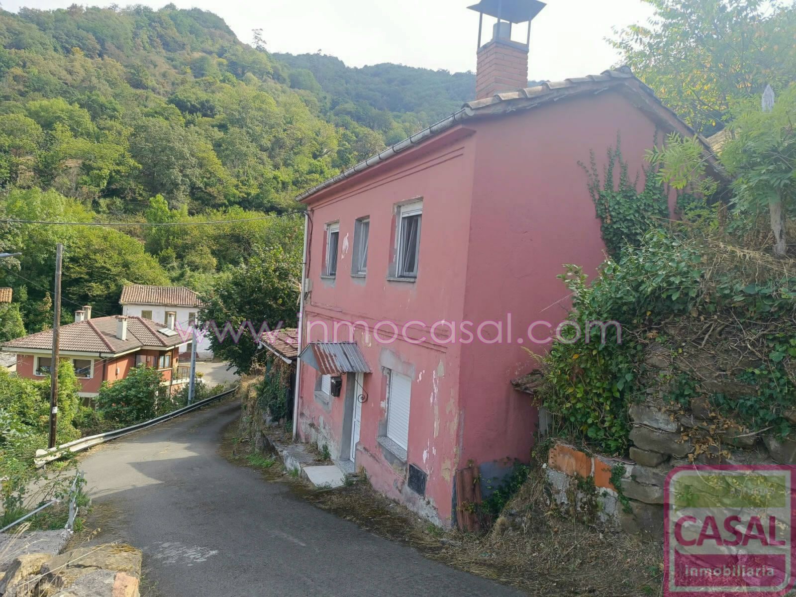 Vista exterior de Casa o xalet en venda en Mieres (Asturias) amb Traster i Moblat
