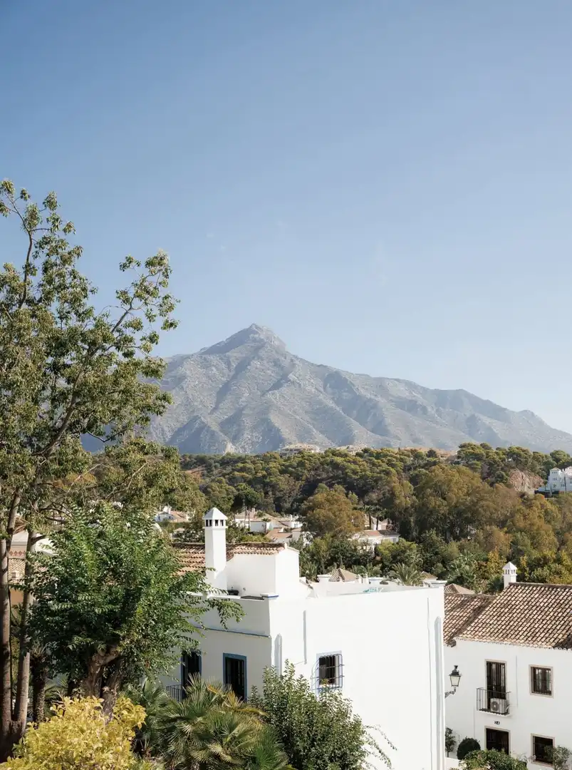 Adossat en venda a Nueva Andalucía, imagen 9