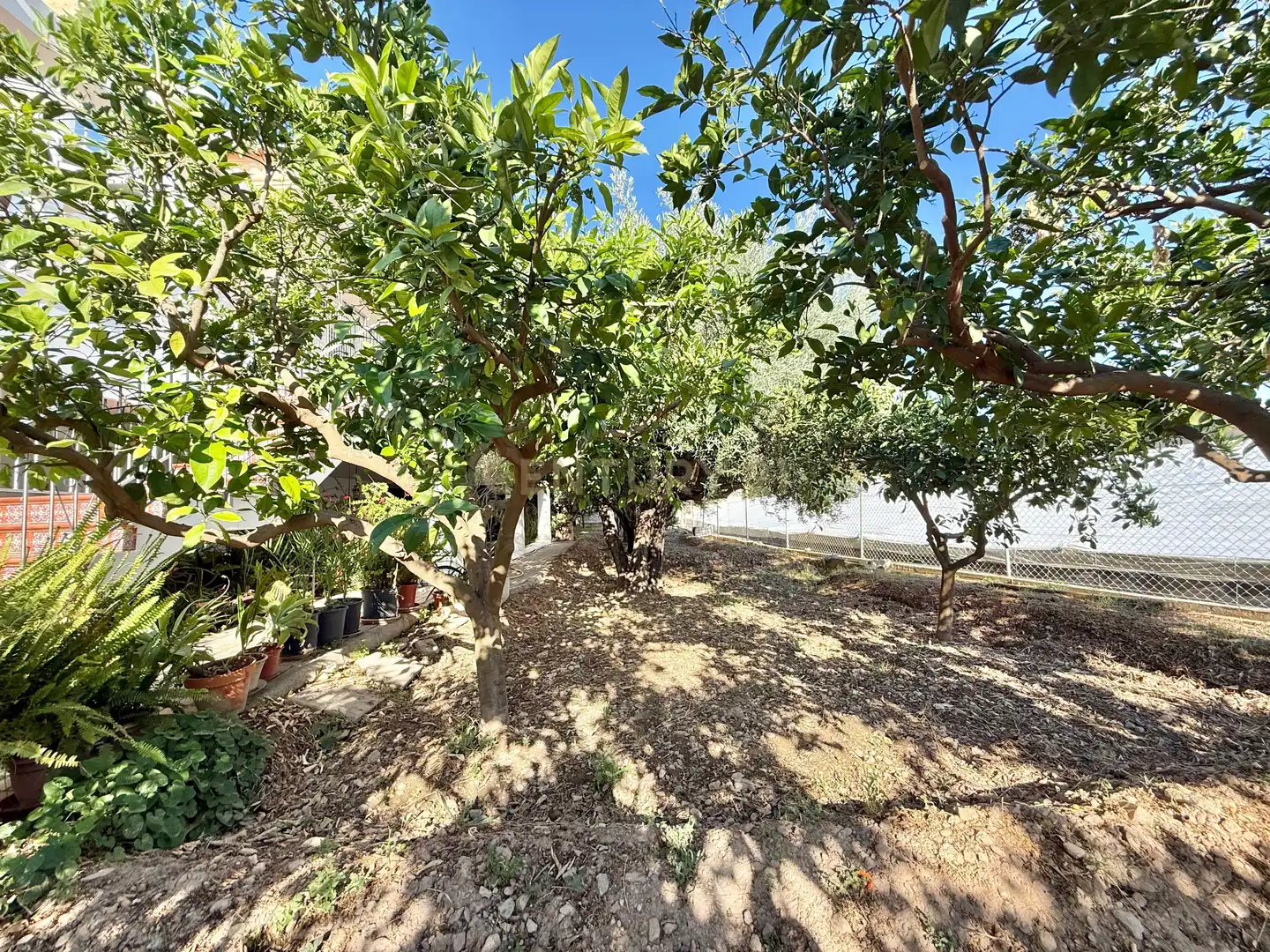 Casa amb jardí en venda a Berja, imagen 28