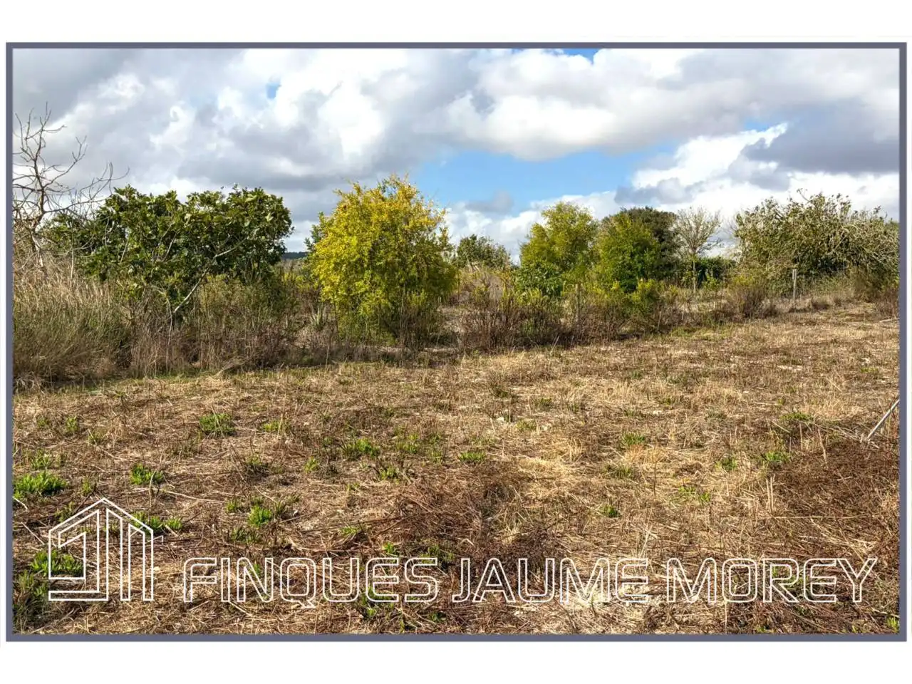 Finca rústica en venta en Maria de la Salut con Jardín privado