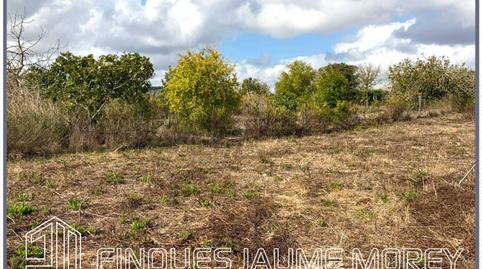 Foto 2 de Finca rústica en venda a Sineu, Sn, Maria de la Salut, Illes Balears