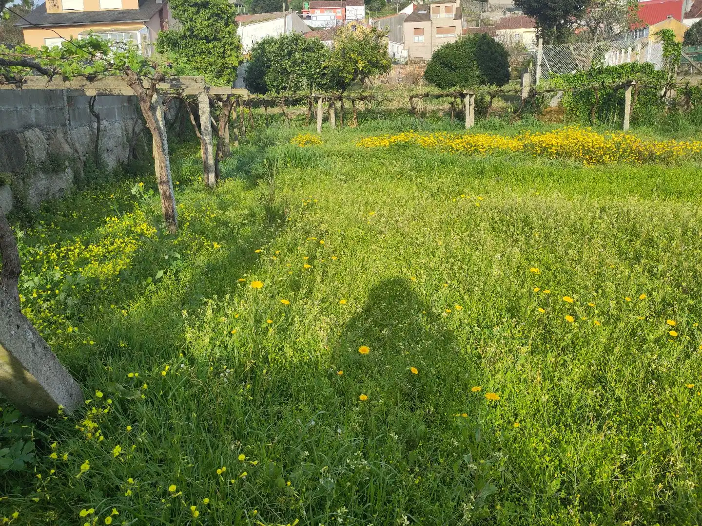 Terreno rustico in vendita a Fonte de Faxilde 13, imagen 3