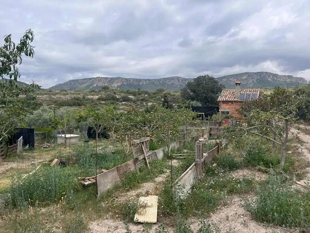 Terreno rústico en venta en Carrer del Dipòsit, imagen 9