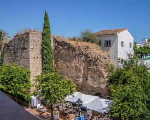 Terrassa de Finca rústica en venda en Marbella