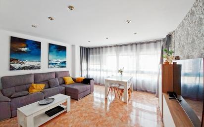 Living room of Flat for sale in Olesa de Montserrat  with Heating, Terrace and Balcony