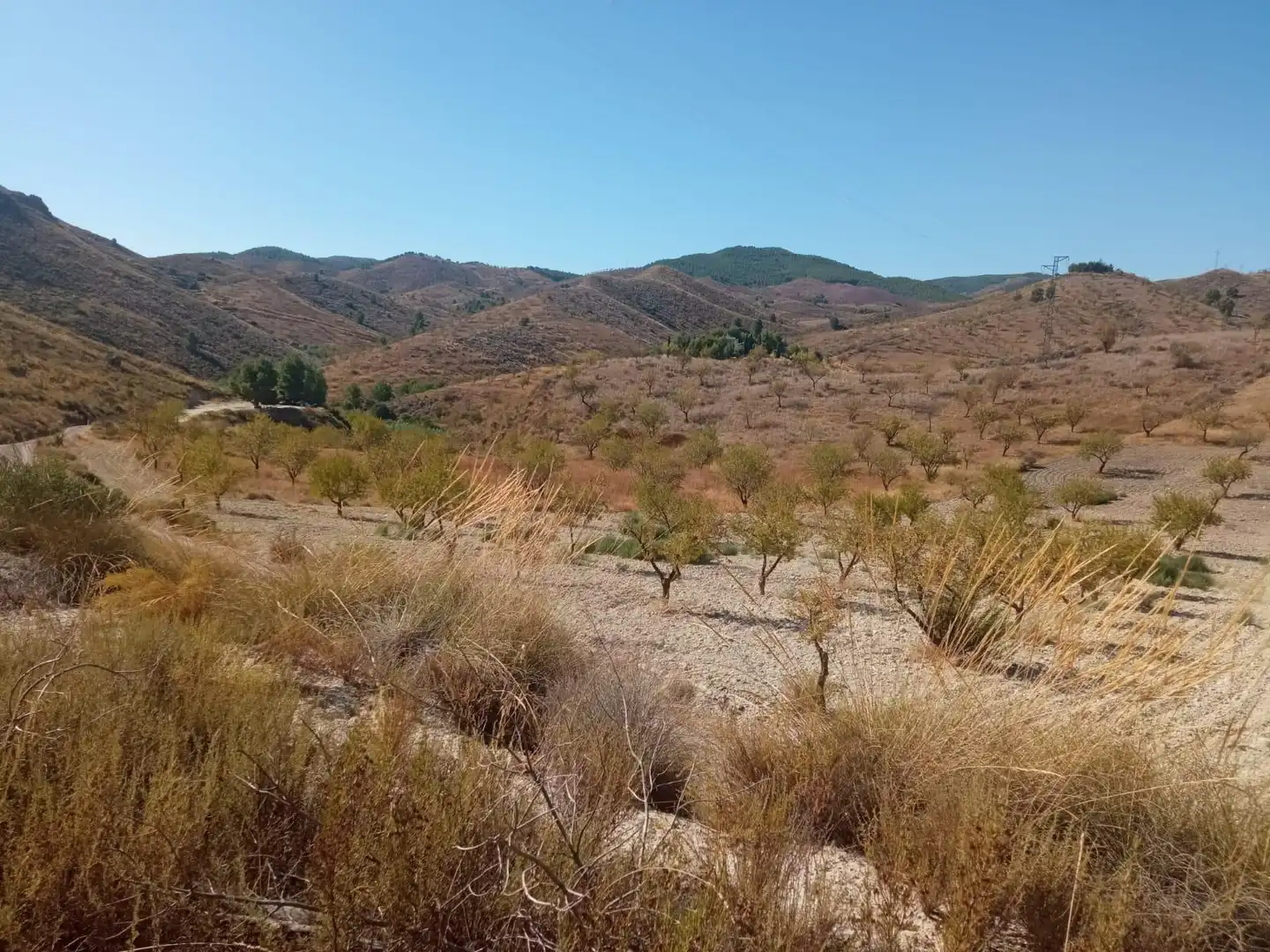 Terrains et parcelles à vendre à Pedanías Norte, imagen 40