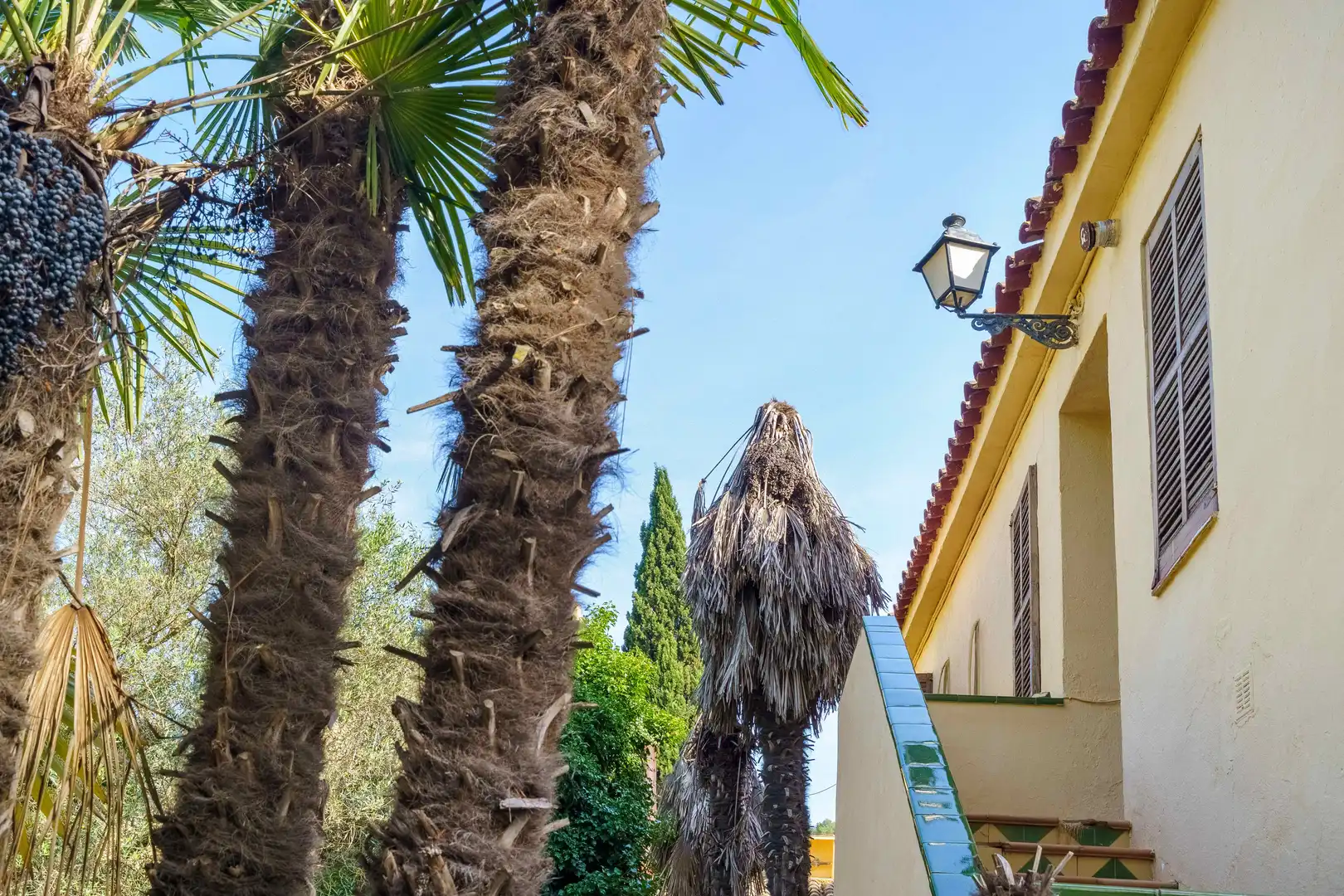 Detached house for sale in Olivella, imagen 60