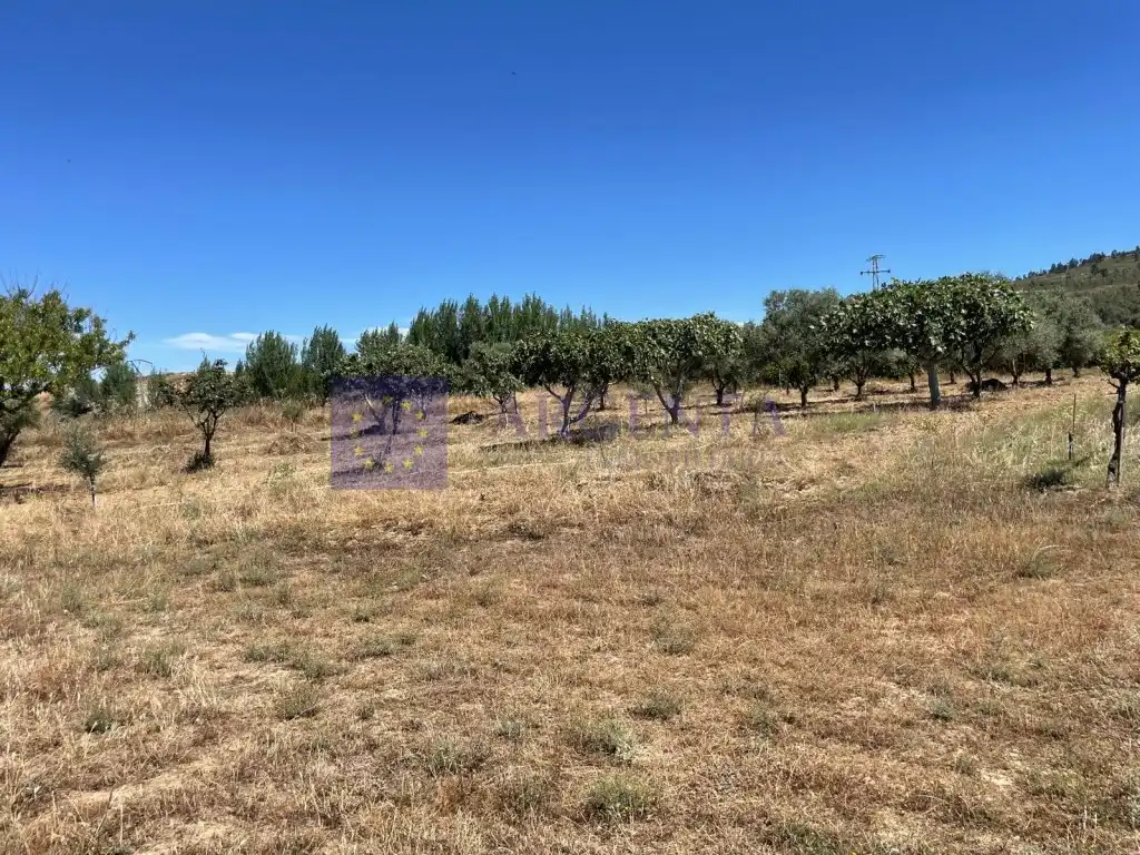 Finca rústica en venda a Finca Villa Amalia, Valdesalor - Rincón de Ballesteros