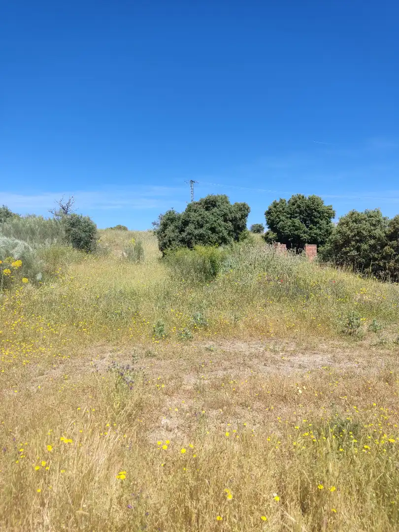 Land for sale in Navalcarnero