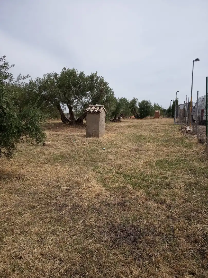 Terrenos y solares en venta en Úbeda